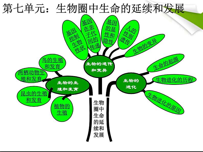 人教版八年级生物下册总复习习题PPT课件02