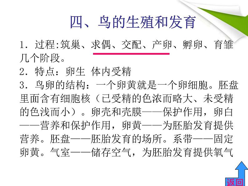 人教版八年级生物下册总复习习题PPT课件08