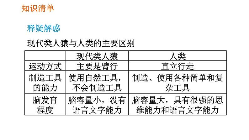 人教版七年级下册生物 第1章 4.1.1 人类的起源和发展 习题课件第7页