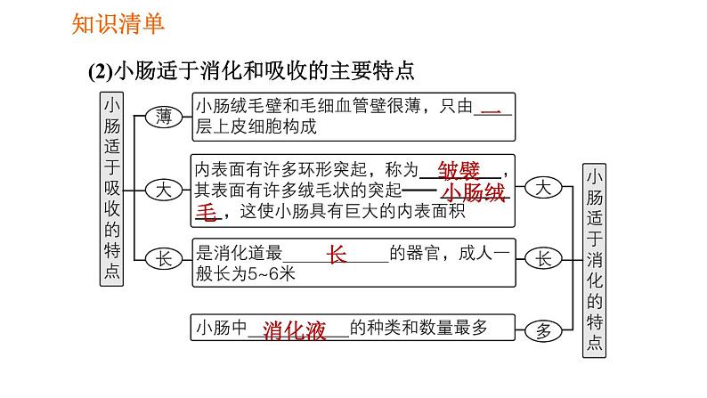 人教版七年级下册生物 第2章 4.2.2.2 营养物质的吸收 习题课件第6页