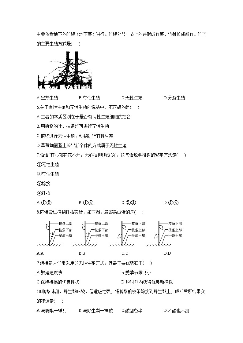 生物人教版八年级下册7.1.1植物的生殖同步课时作业   （word版 含解析） 练习02