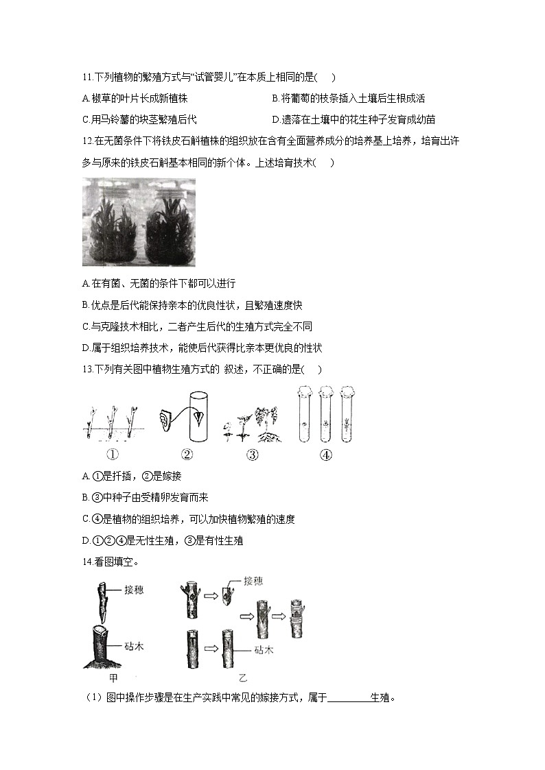 生物人教版八年级下册7.1.1植物的生殖同步课时作业   （word版 含解析） 练习03