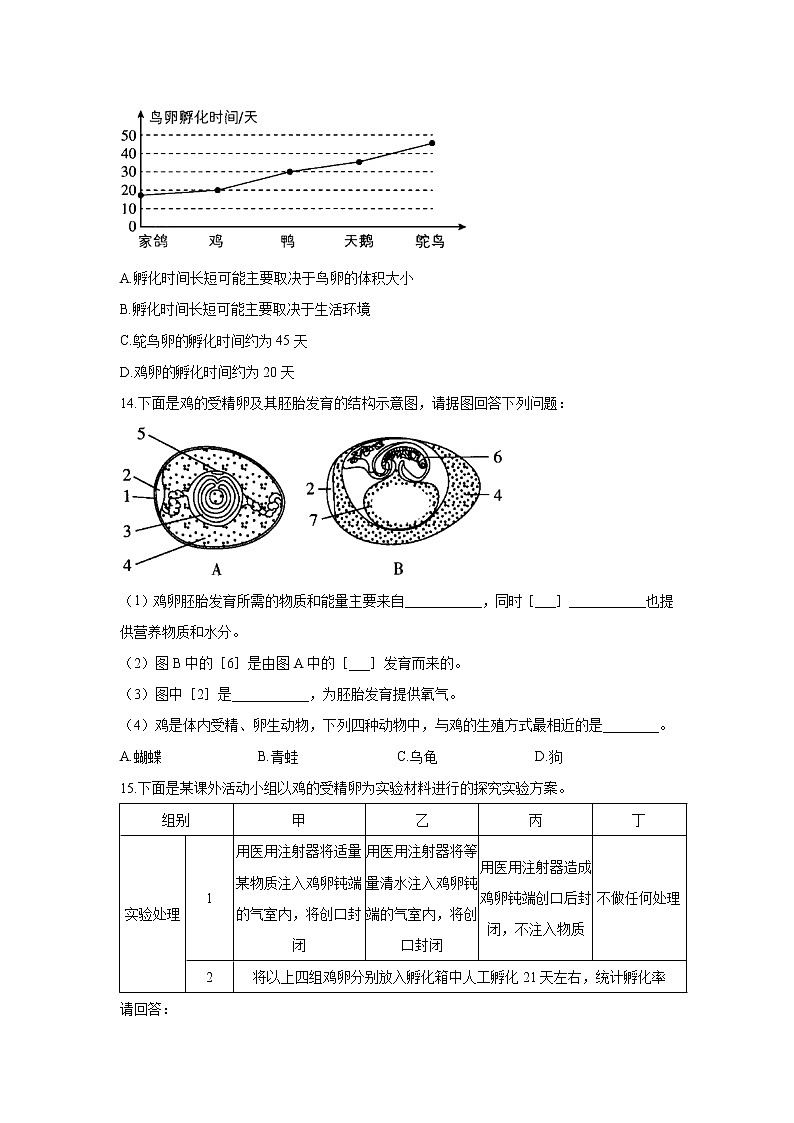 生物人教版八年级下册7.1.4鸟的生殖和发育同步课时作业   （word版 含解析）第3页