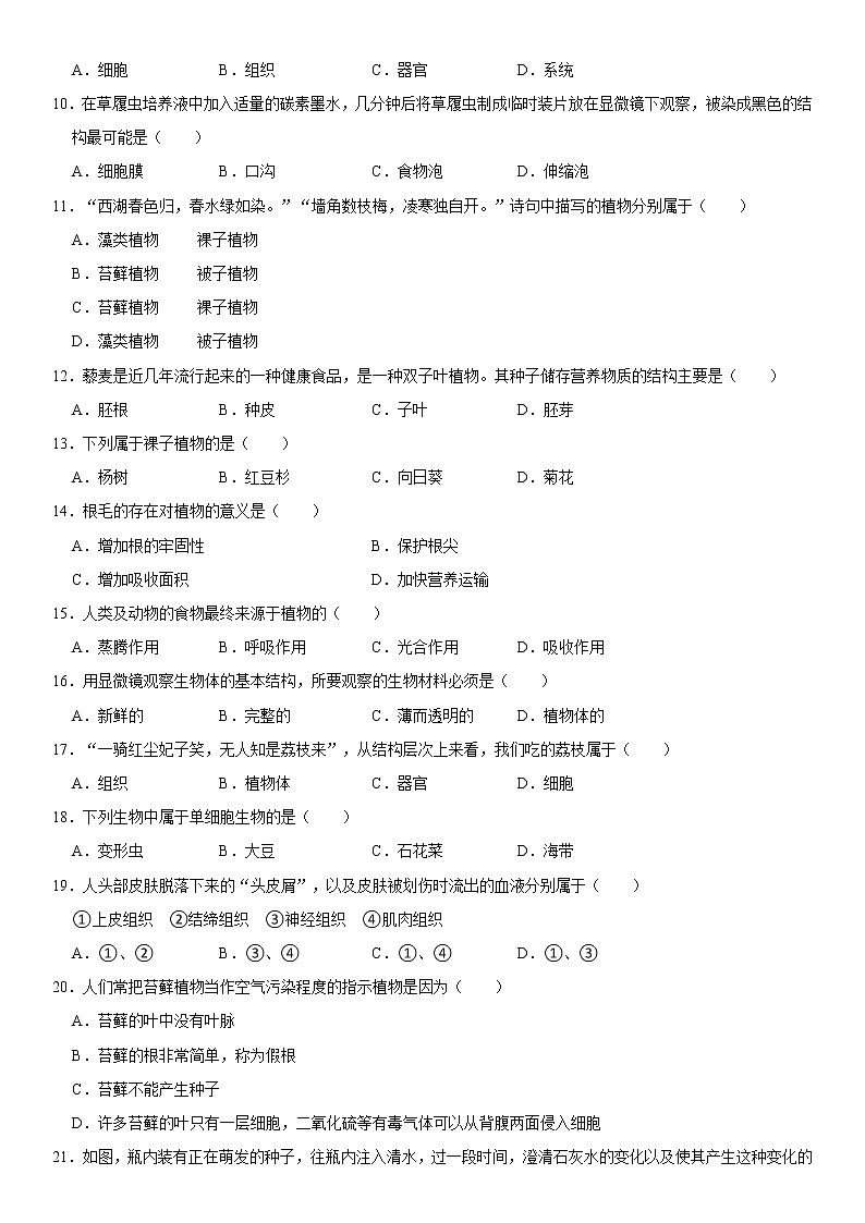2021-2022学年广西桂林市灌阳县七年级（上）期末生物试卷   解析版02
