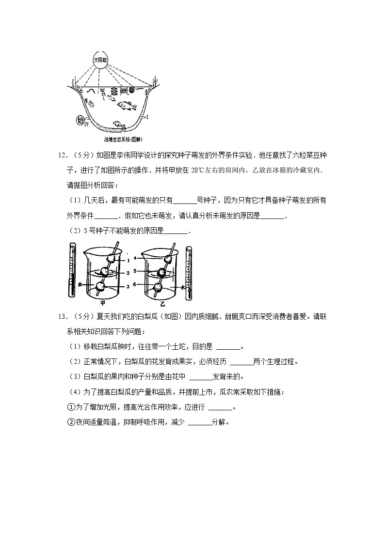2021-2022学年湖北省鄂州市梁子湖区七年级（上）期末生物试卷   解析版第3页