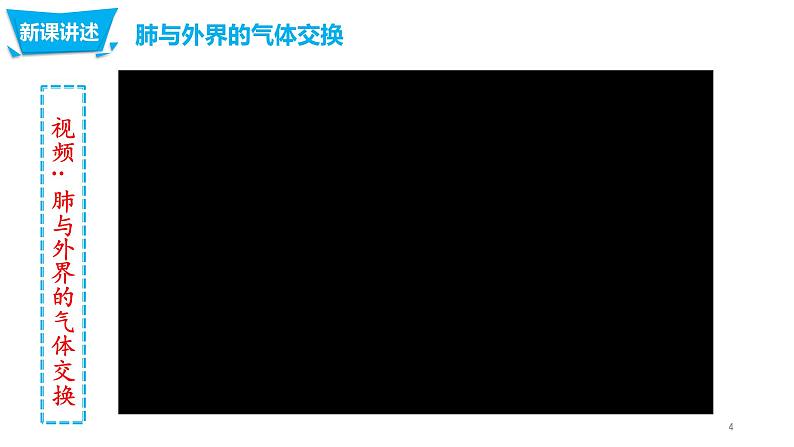 4.3.2 发生在肺内的气体交换第4页