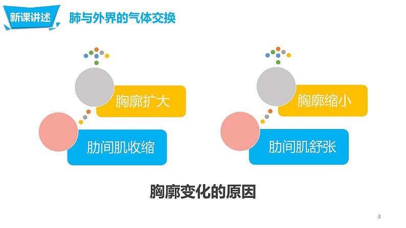 4.3.2 发生在肺内的气体交换第8页