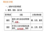 人教版七年级下册生物 期末部分 第二章 人体的营养 课件