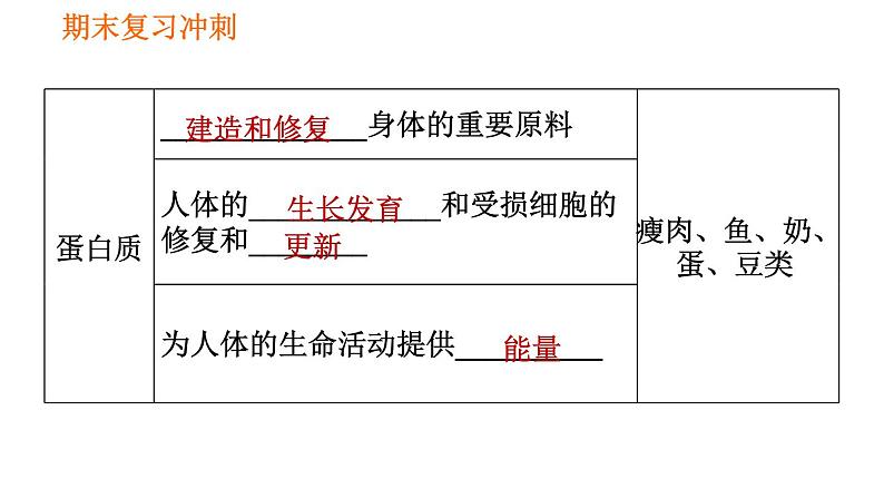 人教版七年级下册生物 期末部分 第二章 人体的营养 课件03