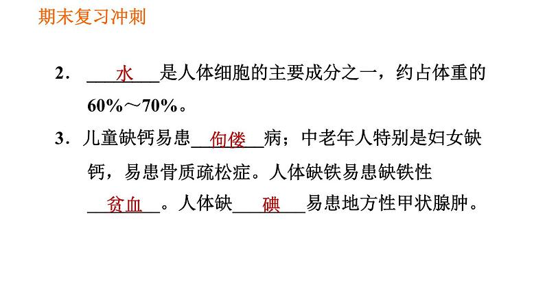 人教版七年级下册生物 期末部分 第二章 人体的营养 课件04