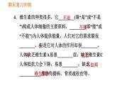 人教版七年级下册生物 期末部分 第二章 人体的营养 课件