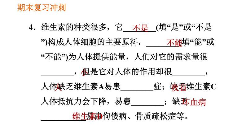 人教版七年级下册生物 期末部分 第二章 人体的营养 课件05