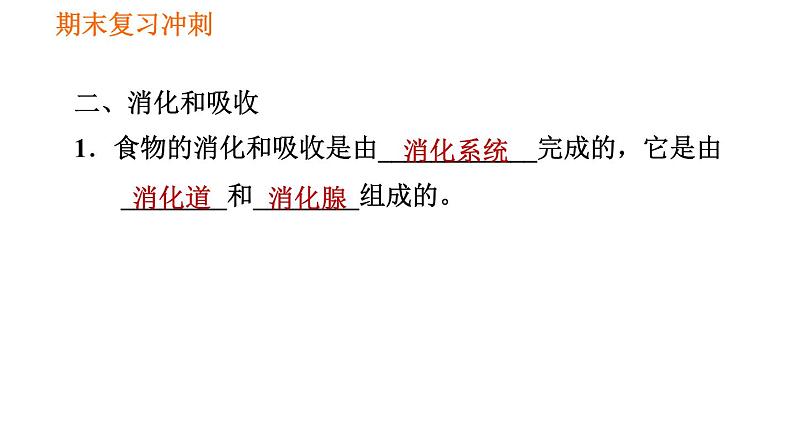 人教版七年级下册生物 期末部分 第二章 人体的营养 课件06