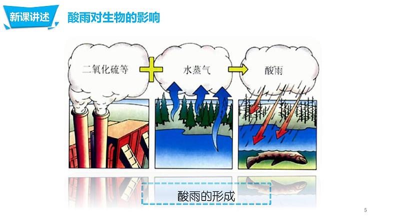 4.7.2 探究环境污染对生物的影响第5页