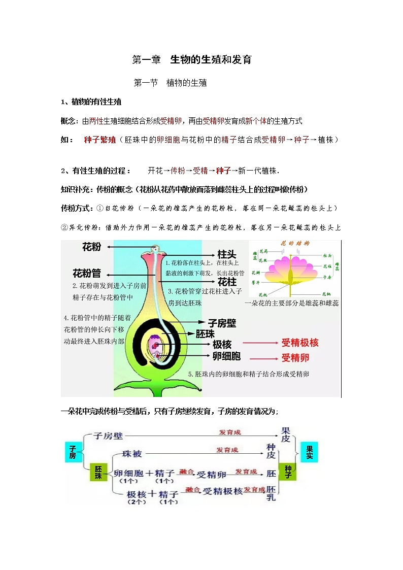 第一节 植物的生殖知识点学案第1页