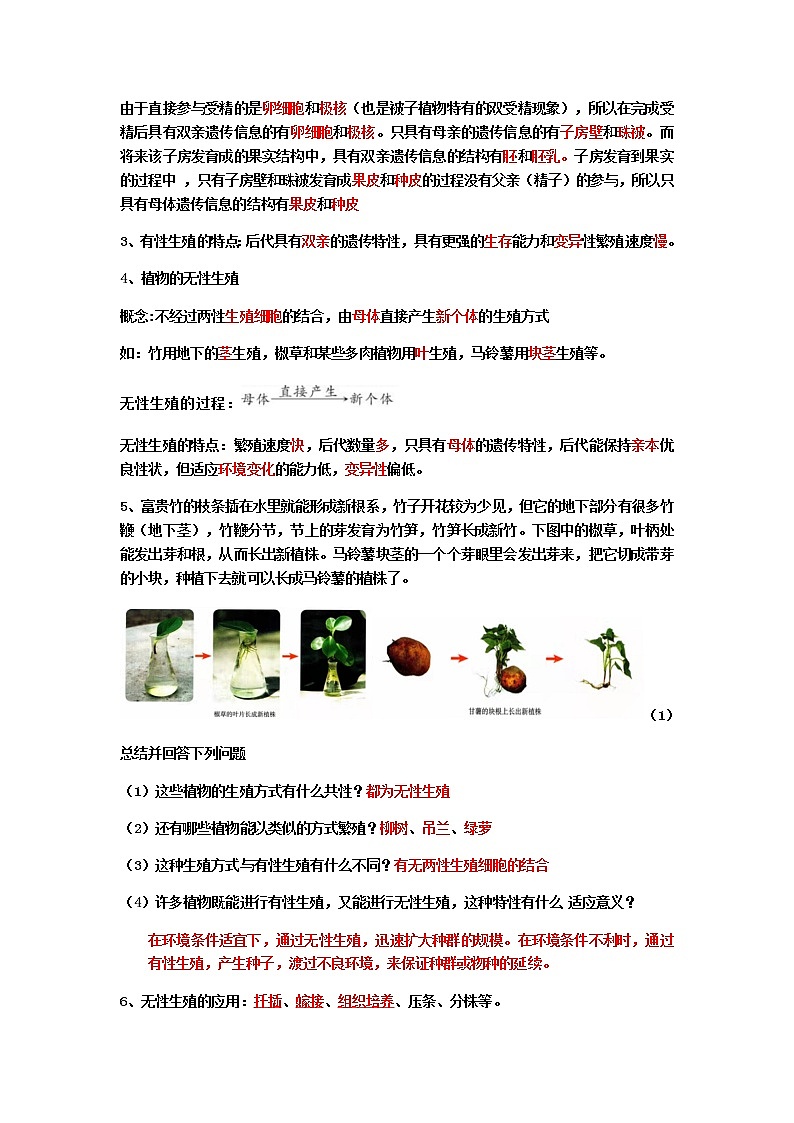 第一节 植物的生殖知识点学案第2页