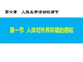 4.6.1人体对外界环境的感知（课件）-七年生物下册同步课件（人教版）