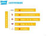 4.6.1人体对外界环境的感知（课件）-七年生物下册同步课件（人教版）