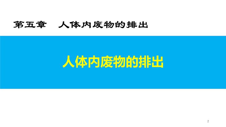 4.5 人体内废物的排出第2页