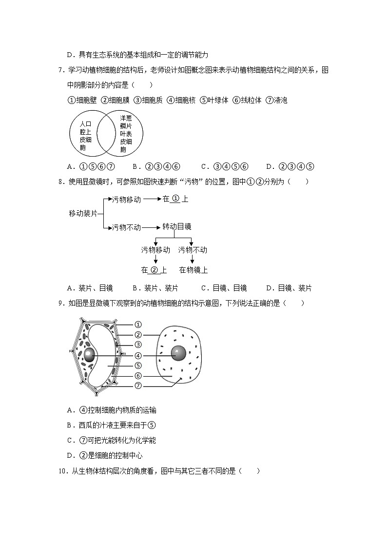 2021-2022学年湖南省邵阳市新邵县七年级（上）期末生物试卷   解析版02