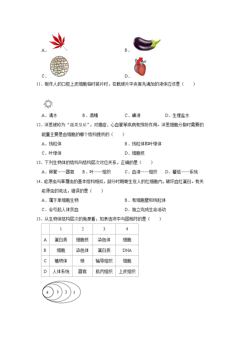 2021-2022学年湖南省邵阳市新邵县七年级（上）期末生物试卷   解析版03