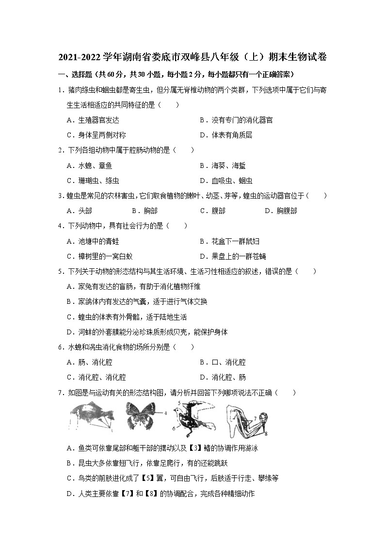 2021-2022学年湖南省娄底市双峰县八年级（上）期末生物试卷   解析版01
