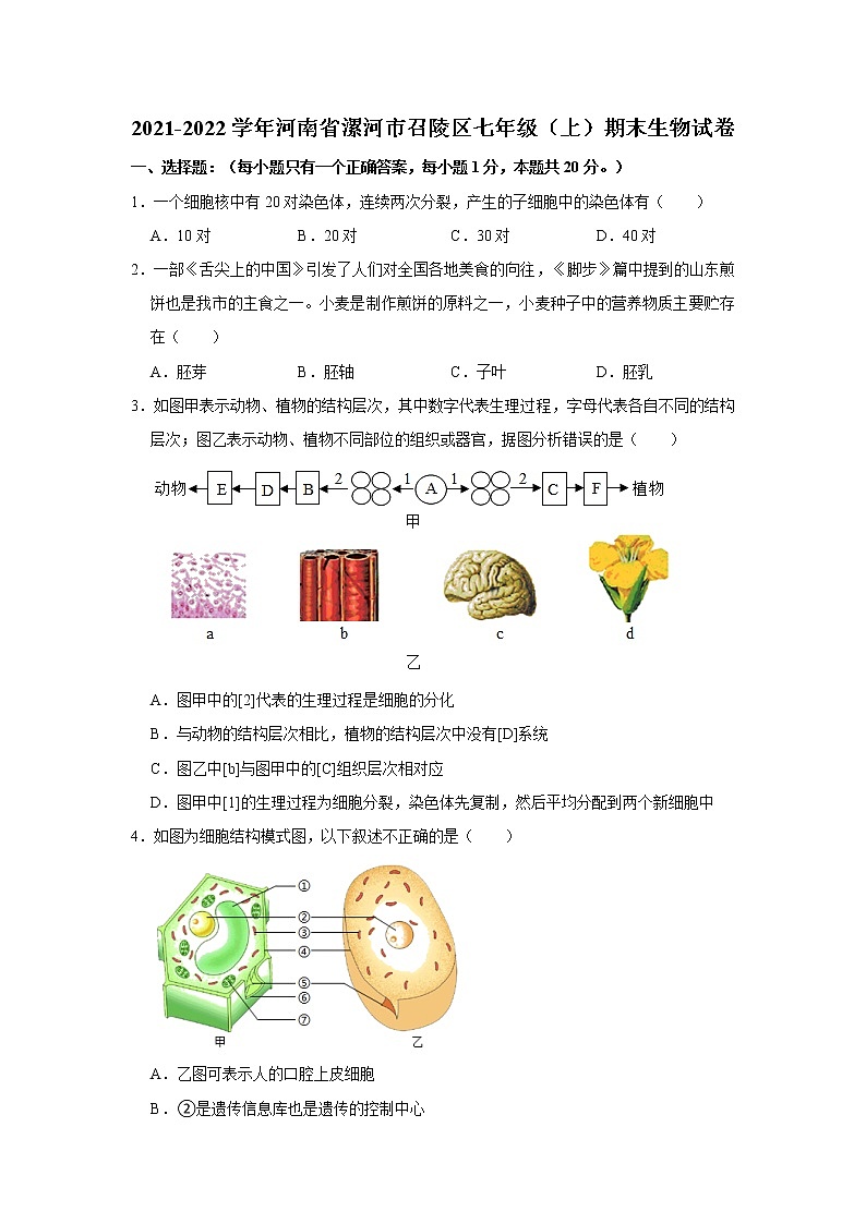 2021-2022学年河南省漯河市召陵区七年级（上）期末生物试卷   解析版01