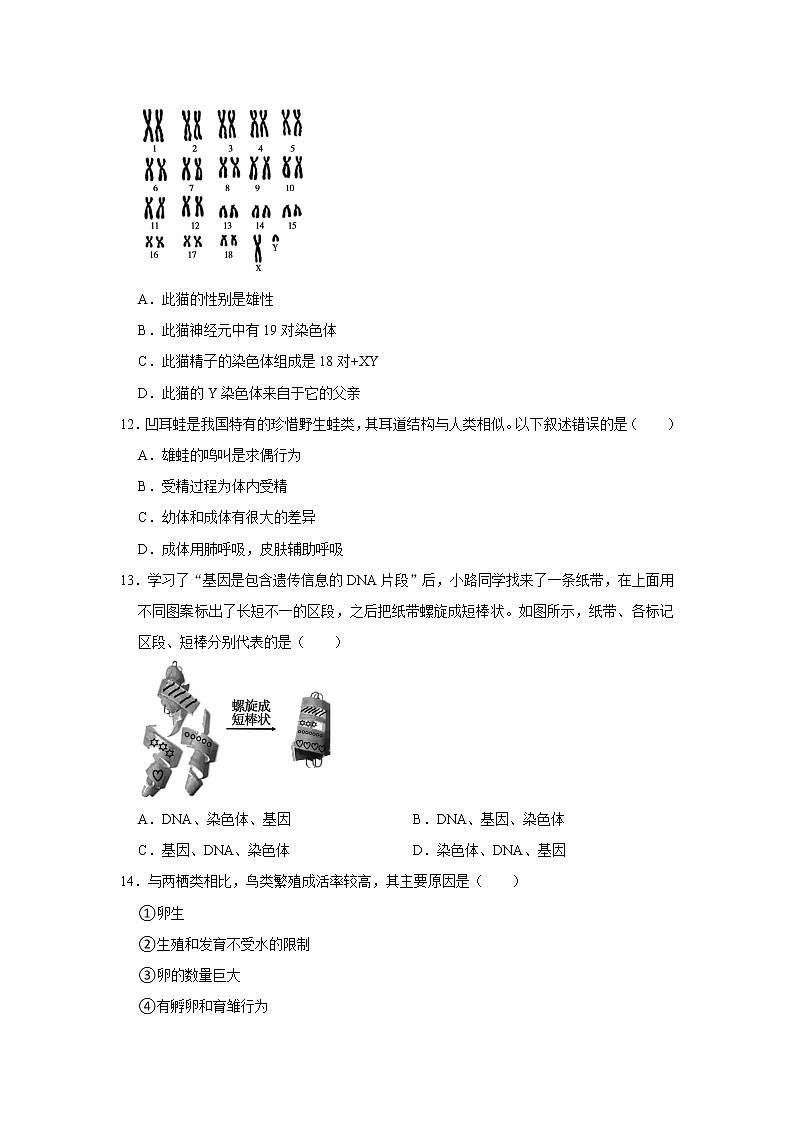 2021-2022学年北京市朝阳区八年级（上）期末生物试卷   解析版03
