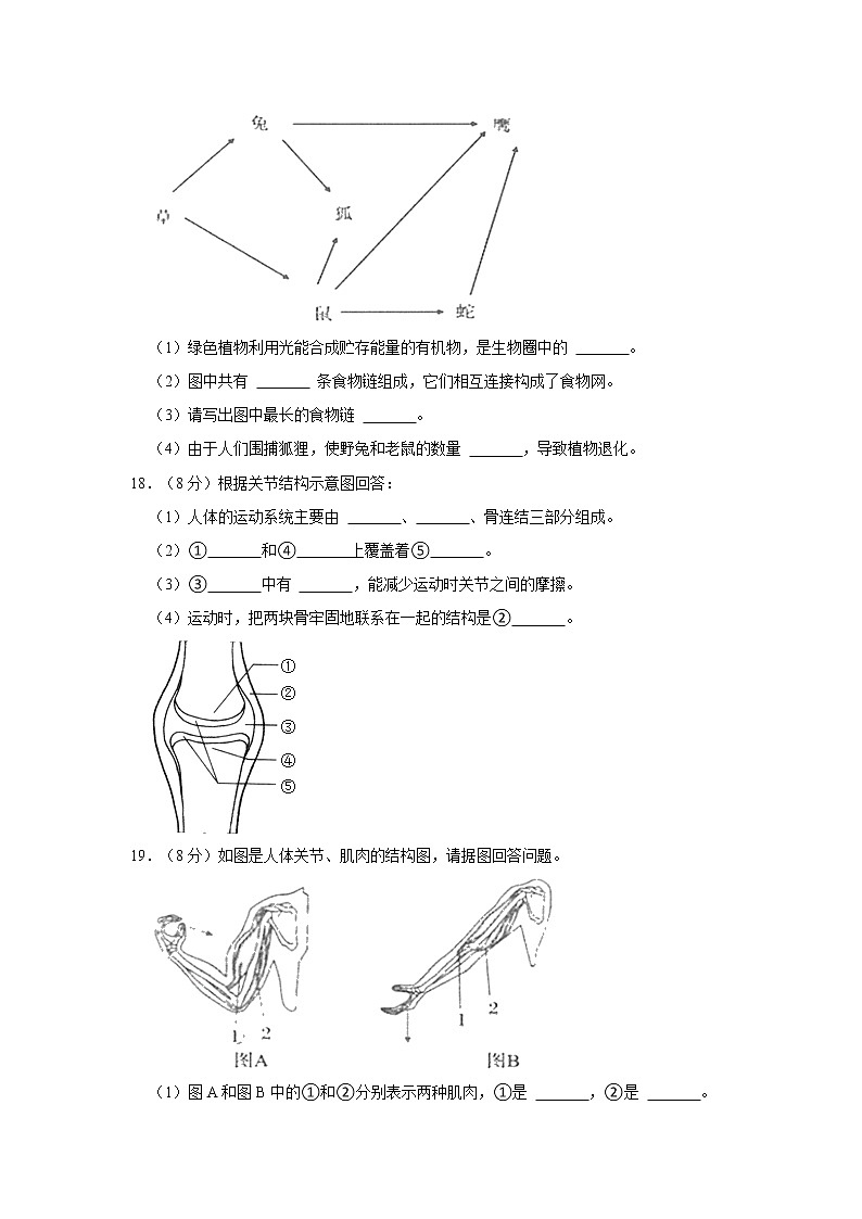 2021-2022学年广西河池市凤山县八年级（上）期末生物试卷   解析版03
