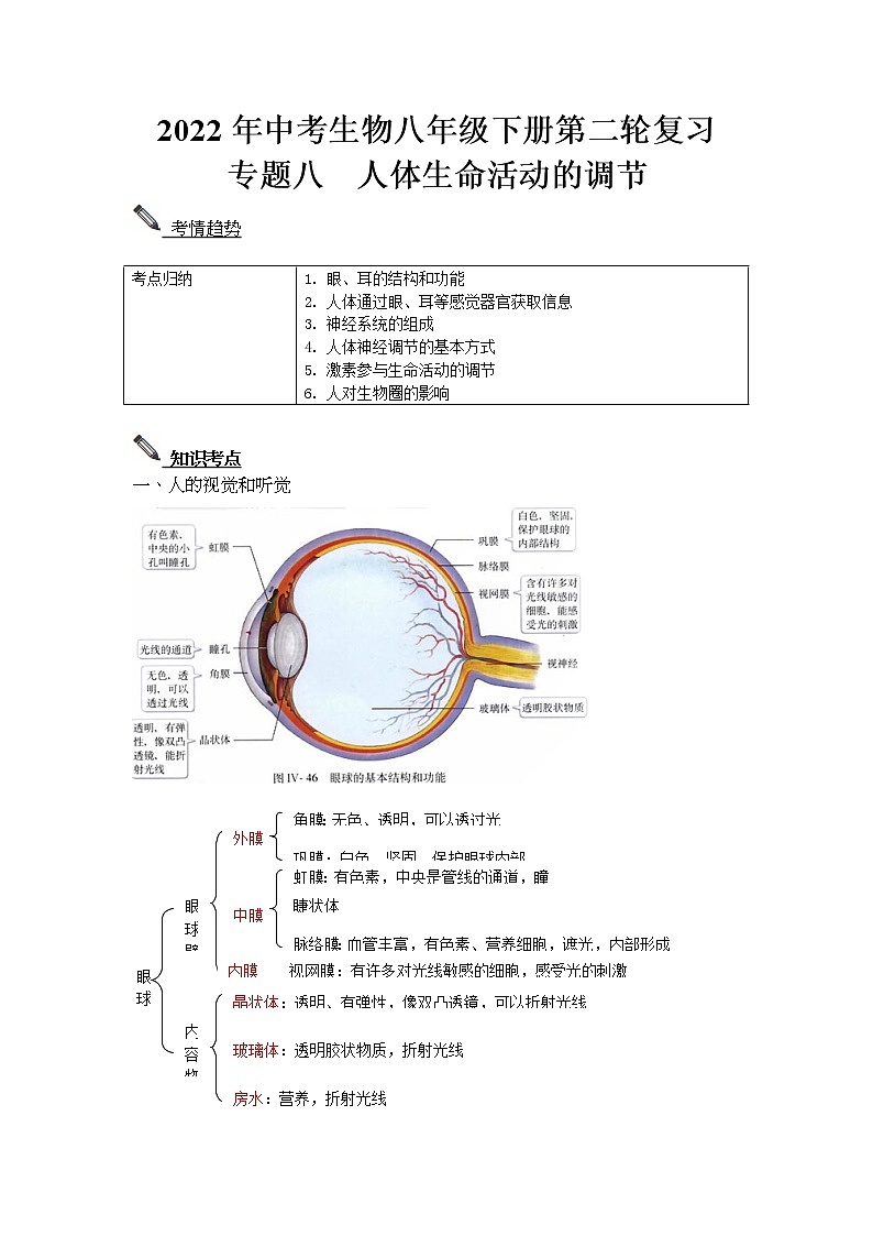 2022年中考生物八年级下册第二轮复习-人体生命活动的调节 试卷01