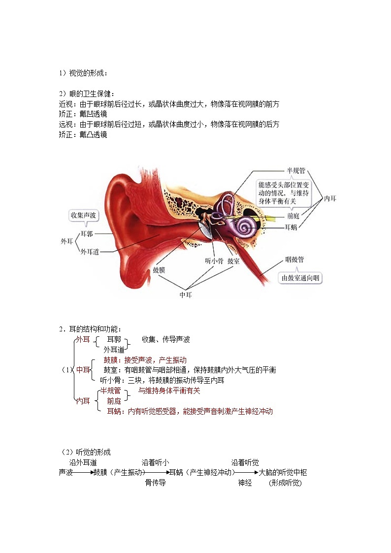 2022年中考生物八年级下册第二轮复习-人体生命活动的调节 试卷02
