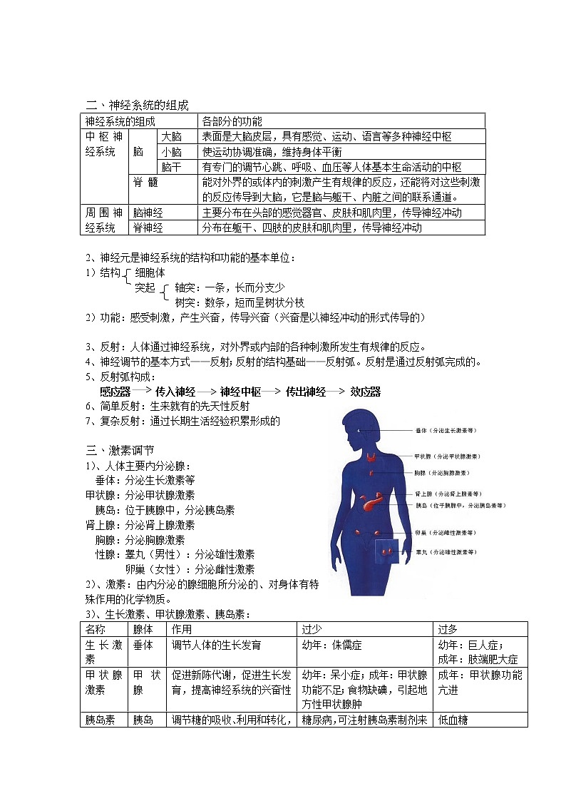 2022年中考生物八年级下册第二轮复习-人体生命活动的调节 试卷03