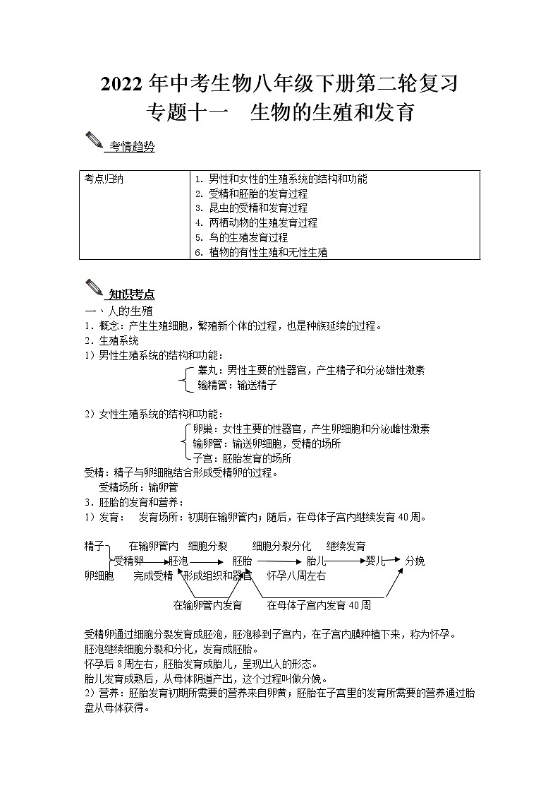 2022年中考生物八年级下册第二轮复习-生物的生殖和发育 试卷01