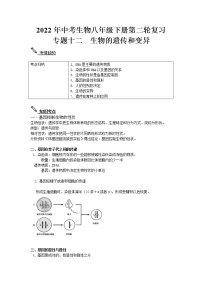 2022年中考生物八年级下册第二轮复习-生物的遗传和变异