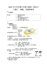 2022年中考生物八年级下册第二轮复习-细菌、真菌和病毒