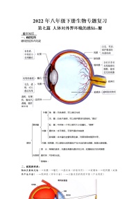 2022年人教版八年级下册生物专题复习-人体对外界环境的感知--眼