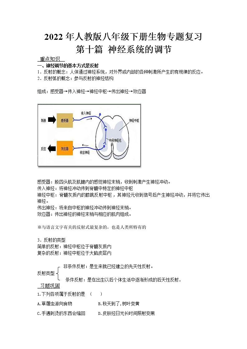 2022年人教版八年级下册生物专题复习-神经系统的调节第1页