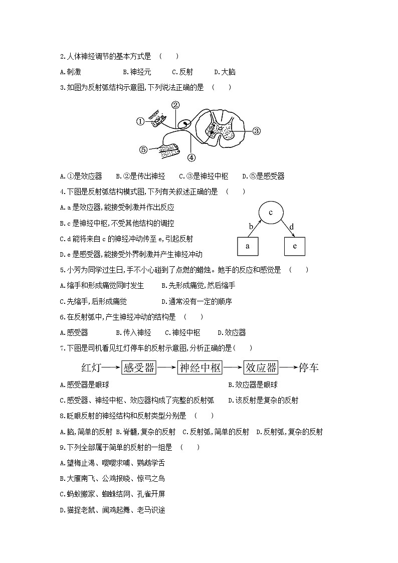 2022年人教版八年级下册生物专题复习-神经系统的调节第2页
