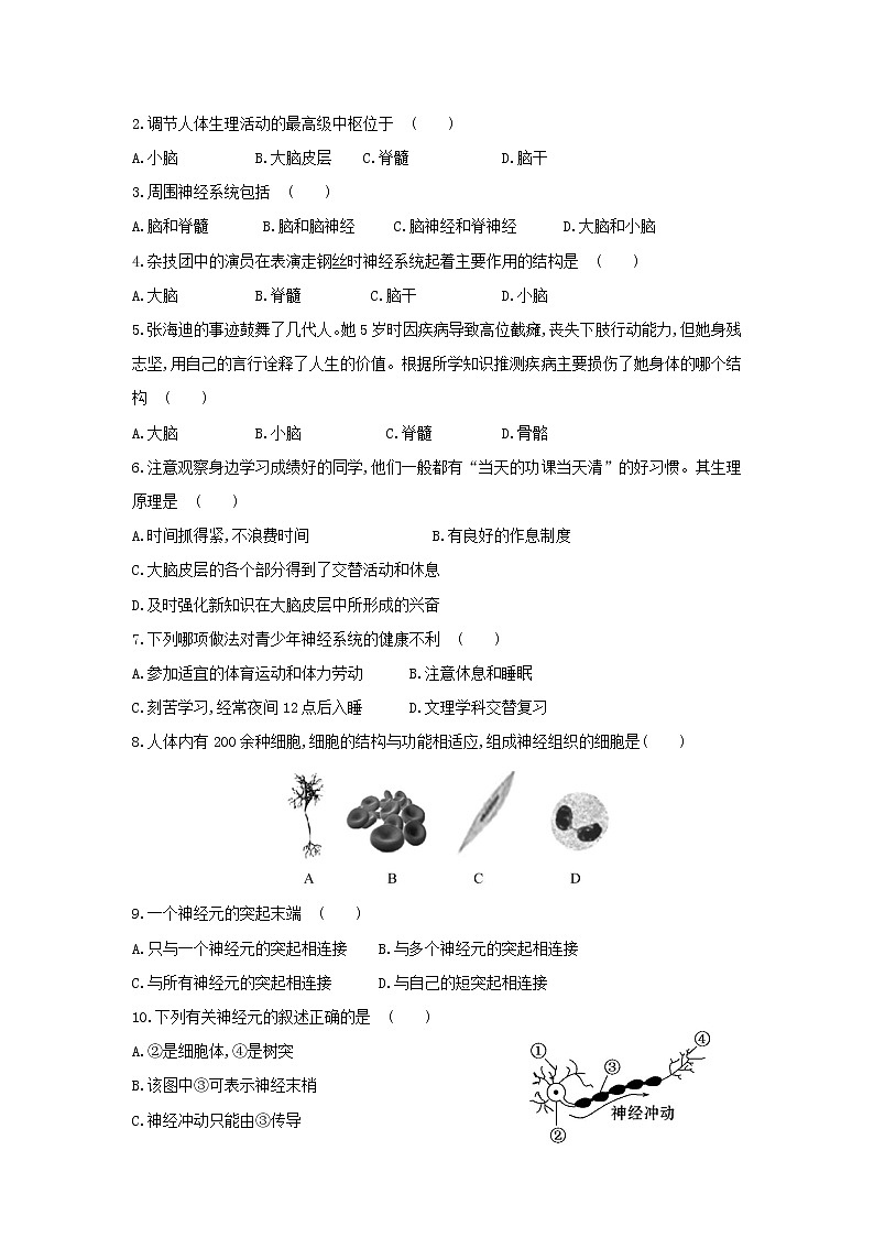 2022年人教版八年级下册生物专题复习-神经系统的组成第2页
