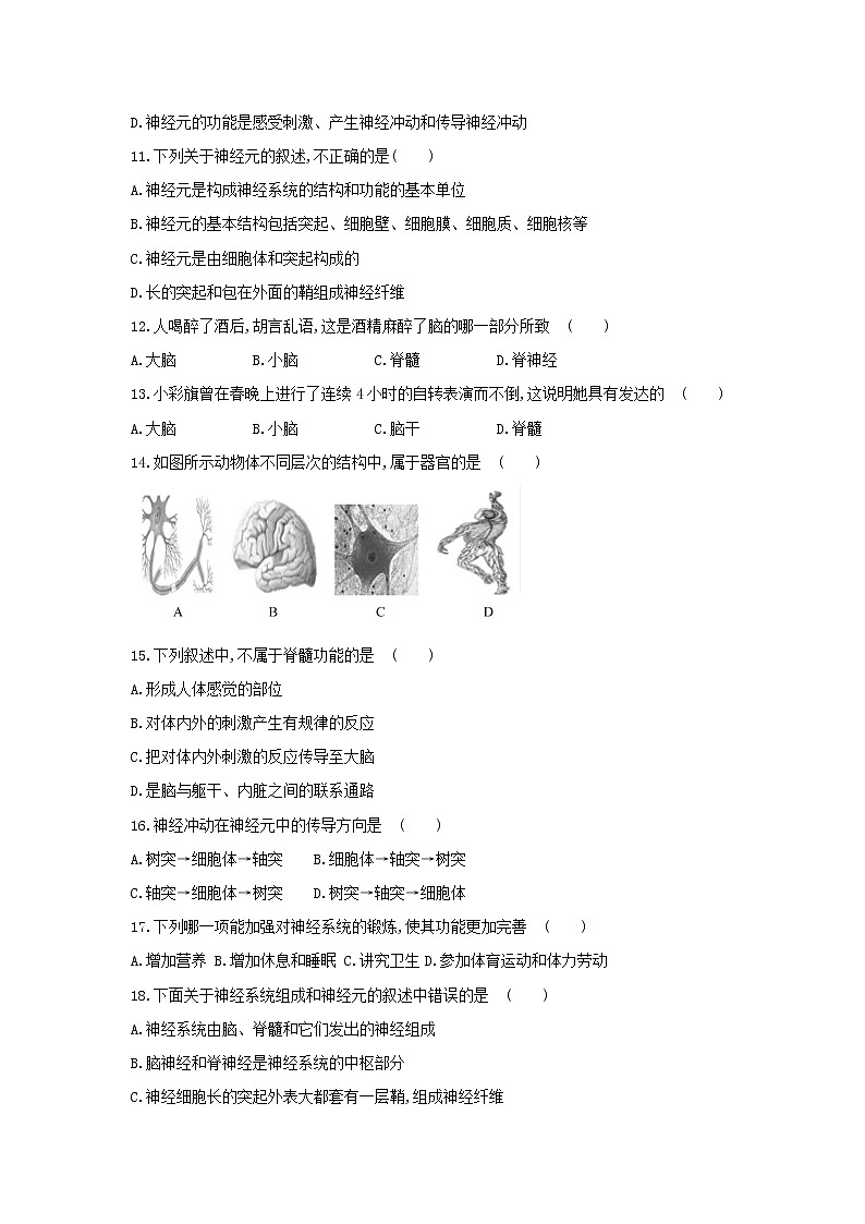 2022年人教版八年级下册生物专题复习-神经系统的组成第3页