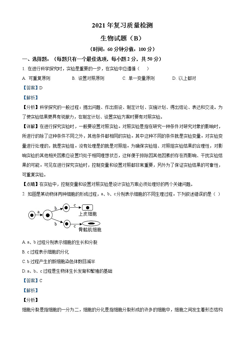 精品解析：2021年山东省滨州市滨城区中考二模生物试题（B）(解析版+原卷版)01