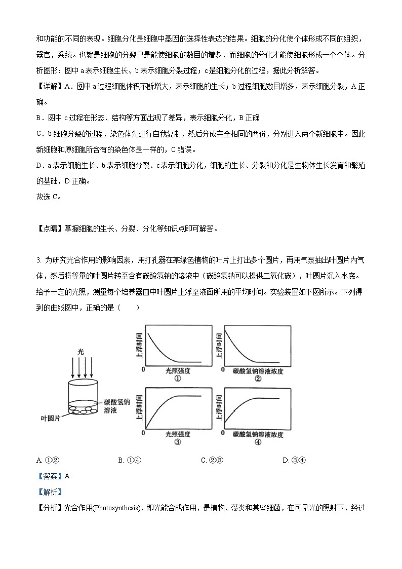 精品解析：2021年山东省滨州市滨城区中考二模生物试题（B）(解析版+原卷版)02