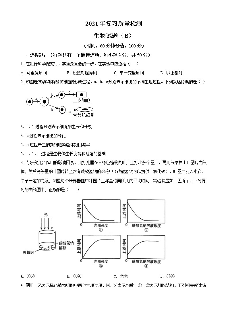 精品解析：2021年山东省滨州市滨城区中考二模生物试题（B）(解析版+原卷版)01