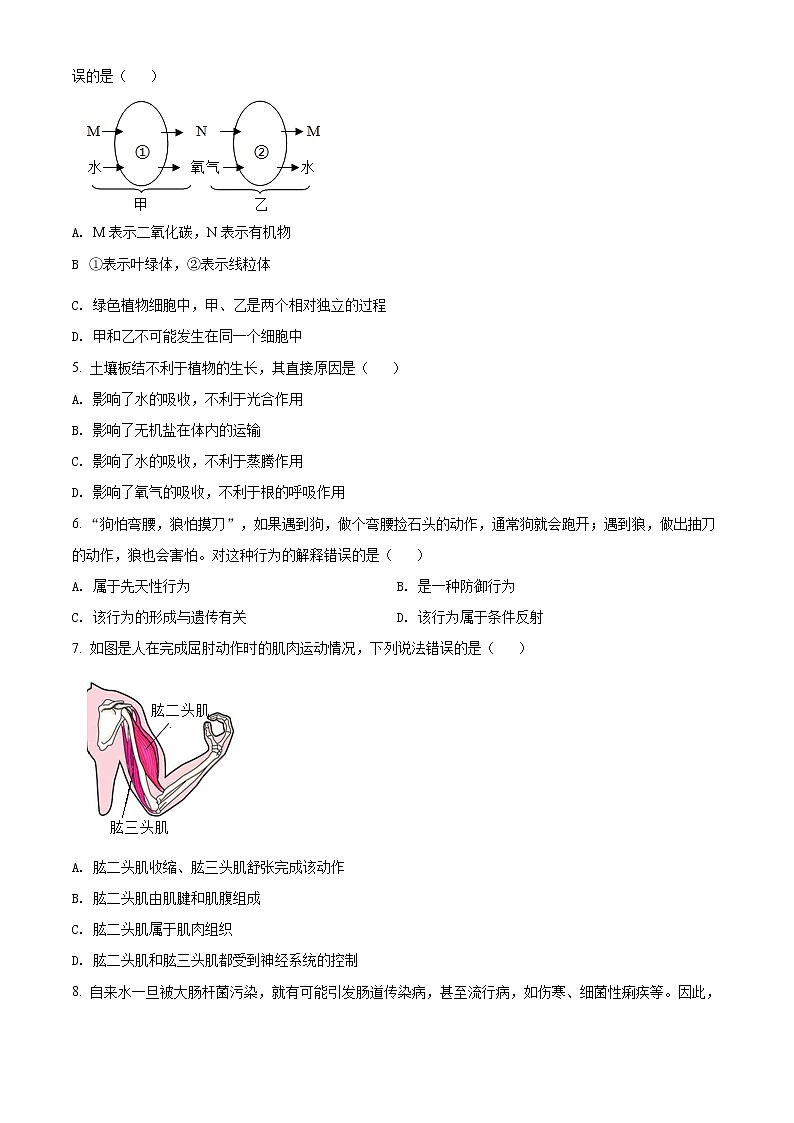 精品解析：2021年山东省滨州市滨城区中考二模生物试题（B）(解析版+原卷版)02