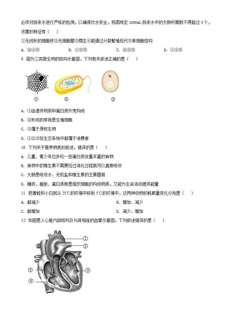 精品解析：2021年山东省滨州市滨城区中考二模生物试题（B）(解析版+原卷版)03