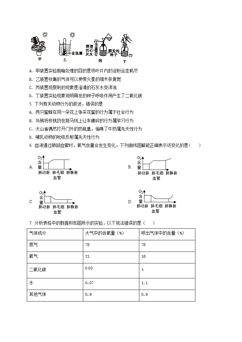 精品解析：2020年山东省滨州市二模生物试题(解析版+原卷版)02