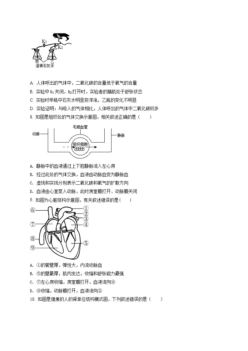 精品解析：2020年山东省滨州市二模生物试题(解析版+原卷版)03