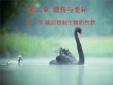 第一节 基因控制生物的性状 　课件