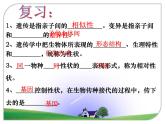 第二节 基因在亲子代间的传递　课件