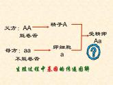 第三节 基因的显性和隐性 　课件